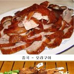 짧지만 빵터지는 일본 짤들03