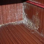 학교근처에 이사왔는데 <b>하루</b>종일 곰팡이를 물티슈로 <b>청소</b>하느라..완전...