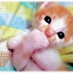 ★☆★☆★☆<b>happy</b> birthday