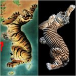 우리나라 <b>지도</b>.. 토끼로 보면 안되는건가요 ?