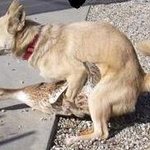 <b>서재원</b> 나이트에서 작업할때