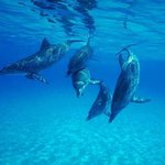 완전 소중한 아이유랑 카라의 최신 올뉴프라이드 스크린 <b>세이버</b>*_*