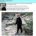 무엇이든 낫게 해준다는 신비의 만병통치약, 무안<b>단물</b>!