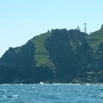 ★10월25일오늘은<b>독도</b>의날입니다★