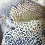 집에와서 <b>냄비</b>를 열어봤는데...이거 먹는거임?(혐오주의)