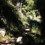 [2탄] (사진有)★☆★24女 혼자서 청산도 다녀왔어요(스압주의)★☆★