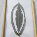 ★★★★ 신기한 예술작품 [<b>나뭇잎</b>아트편] ★★★★