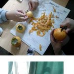 사진有!학교 창문에 감 매달아서 <b>곶감</b> 만들었어요