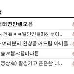 [2탄]사진有 훈훈하고 잘생긴 내 친구 똘키를 공개합니다!!!★★★