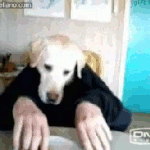 (사진有)네이트 <b>판</b> <b>베</b>플유형에 대하여 알아보자!!