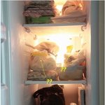 달갑지 않은 손님이 우리 집을 들이닥쳤을때...!!!!!