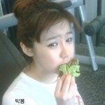 다이어트 성공 인증샷 <b>올린</b> 아이돌들