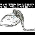 8탄★그림사진有★ㅋㅋ일반인들미친듯이공감한다★