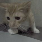 (실화)나도 내가본 귀신애기 해볼까?