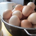 [춘식이] [사진첩<b>st</b>] 나도 계판쓰기 가능?? :)