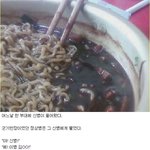 서프라이즈에 나왔다던데 이거 <b>레알</b> 실화냐?