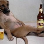사장이 잠든사이..(점심시간편) (1)