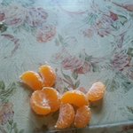 ★★★★★★홈피공개(사진有)귤로집짓기★★★★★