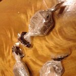 ★★abc초콜릿의실체★★