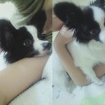 저도 개 <b>판</b>에합류합니다 !