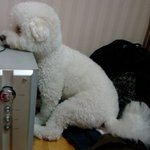 <b>몸살</b>이 왔나봐요..