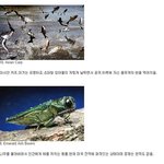 ★펌★ 타임지가 선정한 악마의 동물 <b>top</b> 10