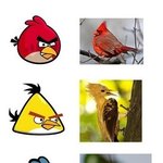 ☆☆만화 원피스와 앵그리<b>버드</b>의 표절☆☆