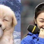 ㅋㅋ은근히 닮았다!!(공감가요)