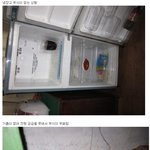 ☆★☆★☆★힘 없는 20대 여자의 부탁입니다, 한번만이라도 읽어주세요...