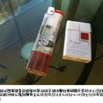 ★★★★개념상실한 중2양아치들★★★★