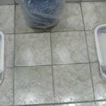 요즘은 변기도 <b>듀얼</b>코어가 대세 ^^