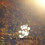 1.안녕하세요.곰돌이 <b>요코</b>입니다 만남(1)