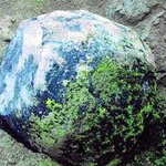 [대륙][사진]  대륙의 득템.jpg