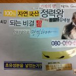 ((후기))●●●●●남고의 <b>미술</b>시간●●●●●