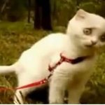 엄마도 거의안한 일을...