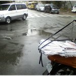 * 이중 <b>잣대</b> *