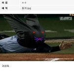 토끼★<b>아래</b>로 내릴수록 웃김★