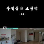 ★★★비원에<b>이포</b> 병맛 만화★★★