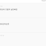 전효성 돼지년
