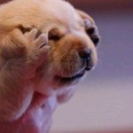 사진 有,(후기)) ♥♥ 우리 커플을 소개합니다 ! ♥_♥ //...