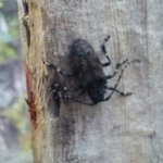 ■사진有■ ★남자4명이서 여행다녀왔어요★☆