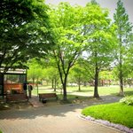 [춘식이] [사진첩<b>st</b>] 나도 계판쓰기 가능?? :) 2탄