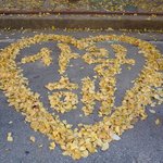 감수성이 <b>풍부</b>한 경비아저씨 단풍놀이