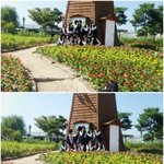 ★★★★★★ (사진有) 여고의 소녀시대★★★★★★