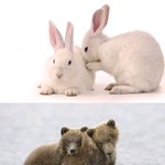 ● 마음이 <b>훈훈</b>해 지는사진 ●