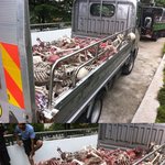 <b>심약</b>자 클릭금지!!!!! 책임 안짐~~