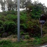 ★이사진 설명좀 부탁드릴게요