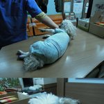 (급해요.. 정말 급합니다.. <b>대전사</b>시는 분들 한번만 봐주세요)