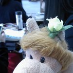 ★★★(사진비교~)<b>사자</b>머리 묶었는데 슈스케 크리스티나 닮았어요!...