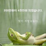 200만원이 4<b>천만</b>원 되었습니다. 인증사진有